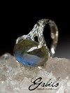 Серебряное кольцо с лабрадором