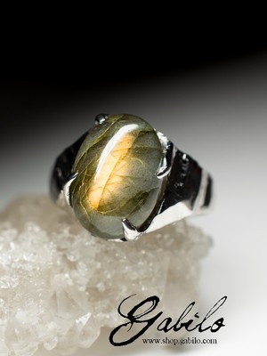 Серебряное кольцо с лабрадором