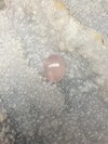 Кабошон розового кварца овал 8.4 карата
