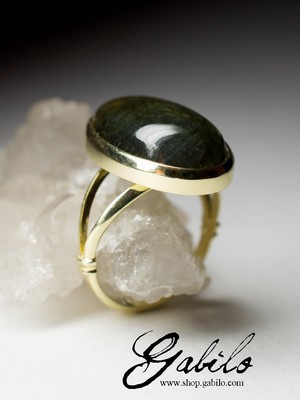 Золотое кольцо с лабрадором